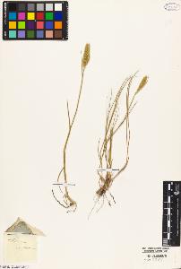 SW_BNB_s3010-04647_IMG-0000000001