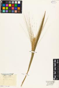 SW_BNB_s3010-04648_IMG-0000000001