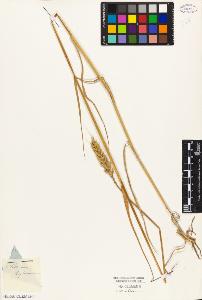 SW_BNB_s3010-04649_IMG-0000000001