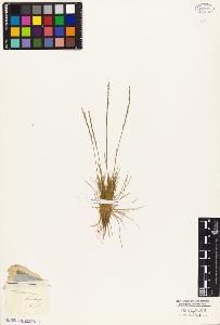 SW_BNB_s3010-04650_IMG-0000000001