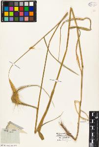 SW_BNB_s3010-04653_IMG-0000000001