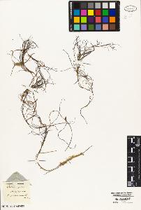 SW_BNB_s3010-04656_IMG-0000000001