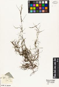 SW_BNB_s3010-04658_IMG-0000000001