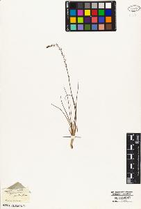 SW_BNB_s3010-04660_IMG-0000000001