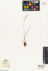 SW_BNB_s3010-04662_IMG-0000000001