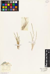 SW_BNB_s3010-04666_IMG-0000000001
