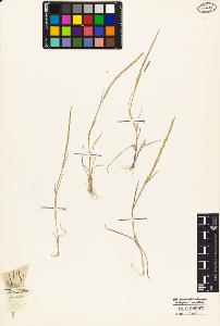 SW_BNB_s3010-04671_IMG-0000000001