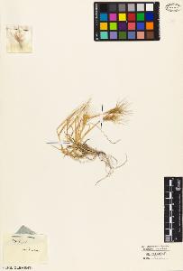 SW_BNB_s3010-04680_IMG-0000000001