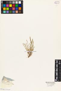 SW_BNB_s3010-04684_IMG-0000000001