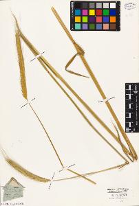 SW_BNB_s3010-04693_IMG-0000000001