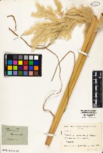 SW_BNB_s3010-04694_IMG-0000000001