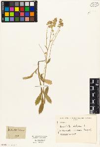SW_BNB_s3010-04699_IMG-0000000001