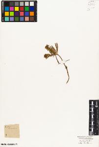 SW_BNB_s3010-04700_IMG-0000000001