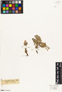 SW_BNB_s3010-04701_IMG-0000000001