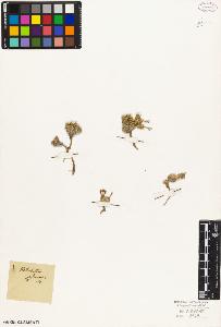 SW_BNB_s3010-04702_IMG-0000000001