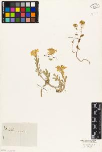SW_BNB_s3010-04703_IMG-0000000001
