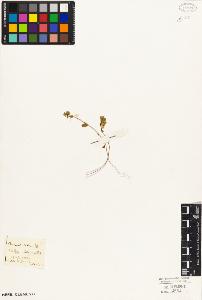 SW_BNB_s3010-04708_IMG-0000000001