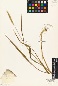 SW_BNB_s3010-04721_IMG-0000000001
