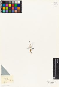 SW_BNB_s3010-04723_IMG-0000000001