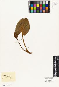 SW_BNB_s3010-04725_IMG-0000000001