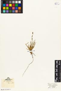 SW_BNB_s3010-04726_IMG-0000000001