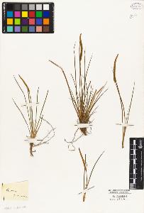 SW_BNB_s3010-04727_IMG-0000000001