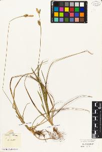 SW_BNB_s3010-04728_IMG-0000000001