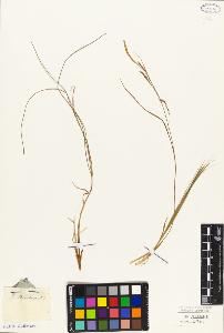 SW_BNB_s3010-04730_IMG-0000000001