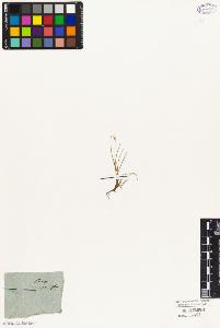 SW_BNB_s3010-04732_IMG-0000000001