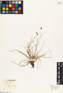 SW_BNB_s3010-04735_IMG-0000000001