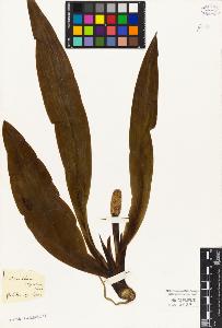 SW_BNB_s3010-04739_IMG-0000000001