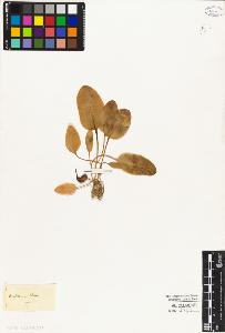 SW_BNB_s3010-04744_IMG-0000000001