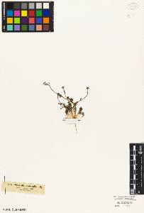 SW_BNB_s3010-04748_IMG-0000000001