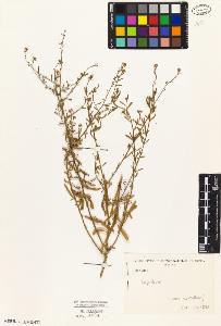 SW_BNB_s3010-04749_IMG-0000000001