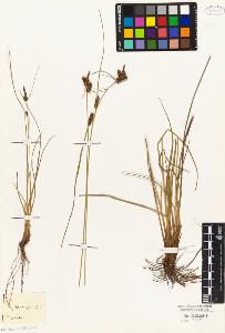 SW_BNB_s3010-04754_IMG-0000000001