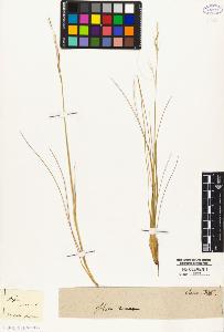 SW_BNB_s3010-04755_IMG-0000000001