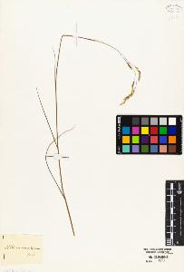 SW_BNB_s3010-04756_IMG-0000000001