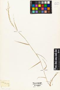 SW_BNB_s3010-04758_IMG-0000000001
