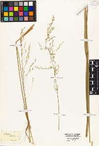SW_BNB_s3010-04759_IMG-0000000001