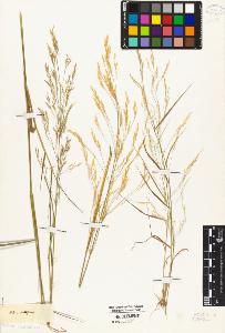 SW_BNB_s3010-04760_IMG-0000000001