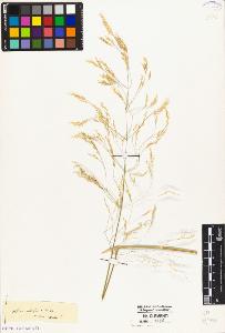 SW_BNB_s3010-04761_IMG-0000000001