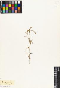 SW_BNB_s3010-04763_IMG-0000000001