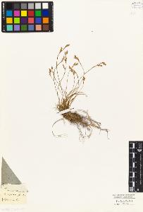 SW_BNB_s3010-04765_IMG-0000000001