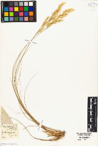 SW_BNB_s3010-04768_IMG-0000000001