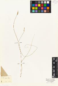 SW_BNB_s3010-04769_IMG-0000000001