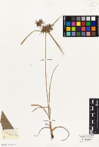 SW_BNB_s3010-04777_IMG-0000000001