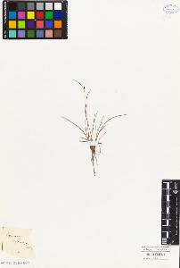 SW_BNB_s3010-04778_IMG-0000000001