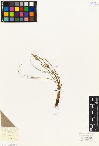 SW_BNB_s3010-04781_IMG-0000000001