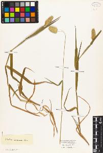 SW_BNB_s3010-04782_IMG-0000000001