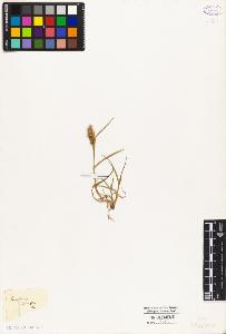 SW_BNB_s3010-04783_IMG-0000000001